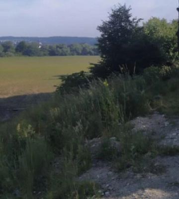 На Львівщині авто злетіло з дороги: двоє травмованих (ФОТО)