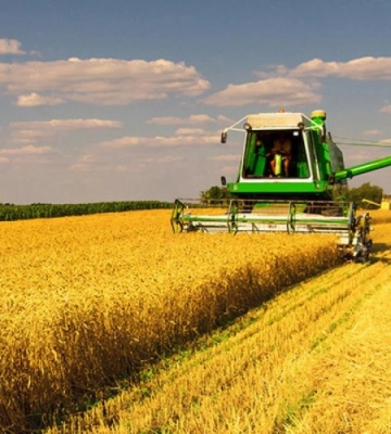 Аграрії Кіровоградщини розпочали жнива