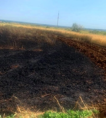 Поліція повідомила про нові злочини росіян на Херсонщині