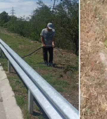 На Одещині вандали зламали молоді дерева