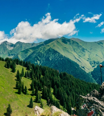 Війна не перешкода: 81% українців планують подорожувати країною найближчим часом