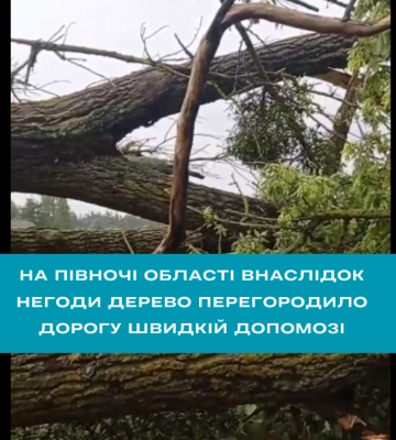 Дерево привалило медиків на Поліссі (ВІДЕО)