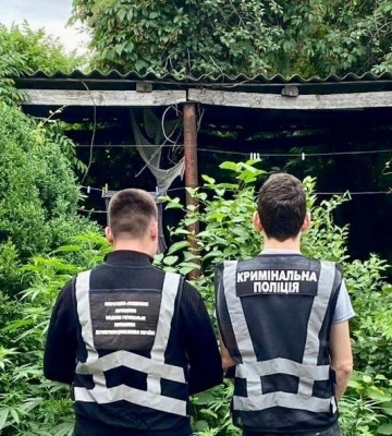 На Одещині правоохоронці викрили наркофермера