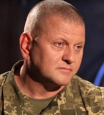 Дратує, коли кажуть, що наступ повільний, − Залужний
