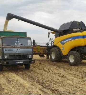 Аграрії трьох регіонів збирають врожай озимих культур