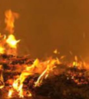 У Виноградівській громаді сталася пожежа в приватному будинку