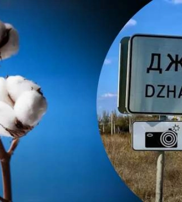 Не Чонгаром єдиним: &quot;бавовна&quot; завітала і до окупованого Джанкоя