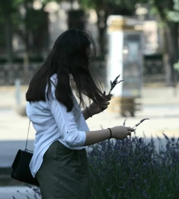 У Дніпрі люди рвуть лаванду у сквері біля Оперного театру