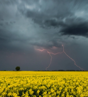 На Волині оголосили І рівень небезпечності