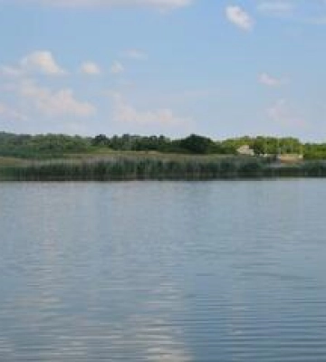 Понад 70 ставків на Полтавщині орендовані незаконно
