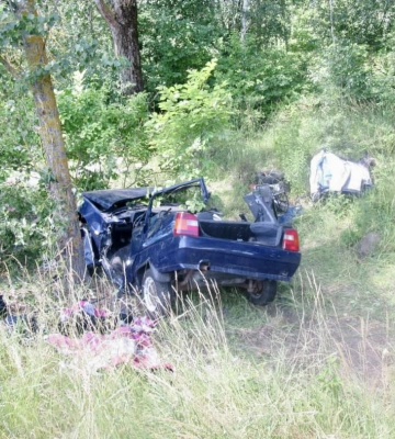 На Житомирщині легковик вилетів у кювет та врізався у дерево, є загиблі (ФОТО)