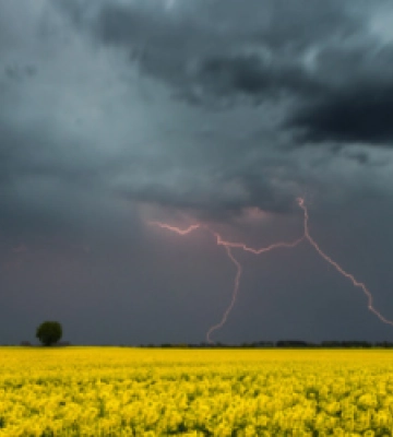 У Львові завтра дощитиме, можливі грози