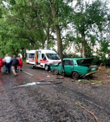 На Білоцерківщині після зіткнення авто з деревом водія викинуло на дорогу 