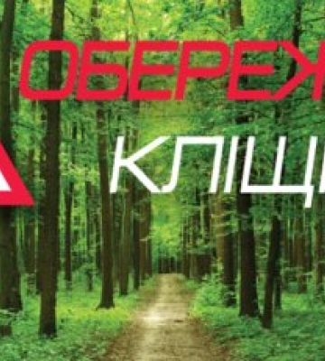 В Закарпатті активізувалися лісові кліщі будьте обережні