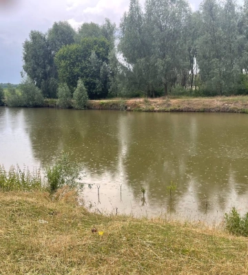 На Полтавщині у ставку виявили тіло 9-річної дитини