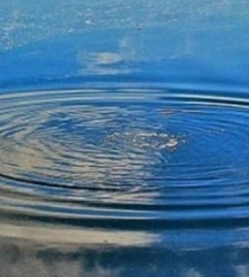 На Волині у водоймі в «Трьох бобрах» втопився чоловік (відео)