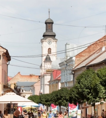 Поліція розслідує побиття жінки співробітником ТЦК на Закарпатті