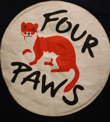 В Ужгороді запрацювала мобільна команда «FOUR PAWS International»