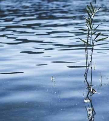 Пішов купатися й не виплив: у водоймі біля Нововолинська втопився чоловік