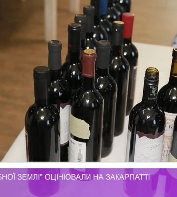 «Вина срібної землі» оцінювали на Закарпатті