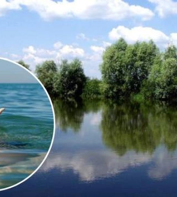 В Ровенской области утонул 12-летний мальчик: его друга спас рыбак