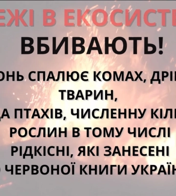 На Миколаївщині палають сухостої — лише за тиждень вогнеборці ліквідували понад 70 пожеж