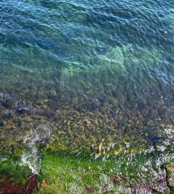 Морська вода біля Одеси відповідає нормам - мерія