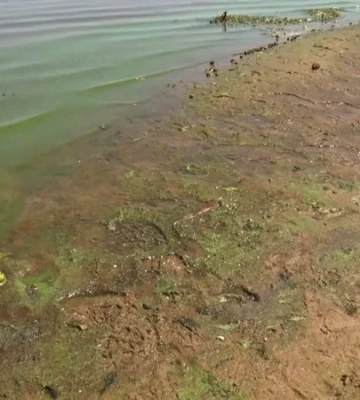 Цвітіння води та деякі відхилення: фахівці перевірили стан річки Дніпро