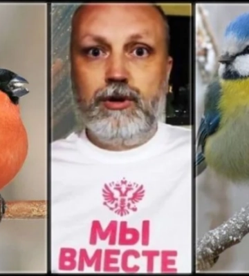 До Мелитополя “укронацисты” не дойдут: как “русский снегирь” Рогов в эфире у Соловьева над F-16 смеялся