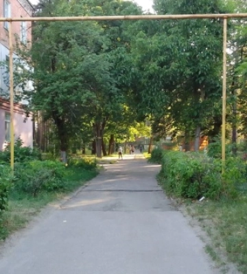 Житомирський художник створив мурали «Лісова пісня» та «Мальви»