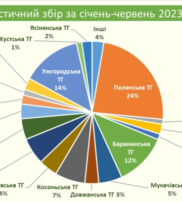 У першому півріччі до бюджетів Закарпаття надійшло понад 9 млн грн туристичного збору