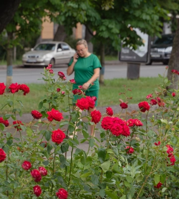 У Полтаві стартував конкурс до Дня фотографа «Парк моїми очима»