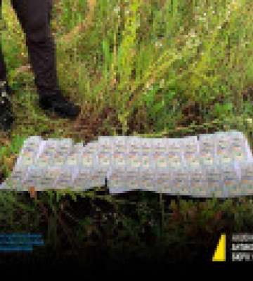 Незаконний дозвіл на перетин кордону: у народної депутатки та її помічника проводять обшуки