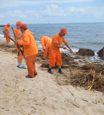Екологічна катастрофа і купатись у Чорному морі не можна: КП «Узбережжя Одеси» продовжує прибирати забруднення прибережної зони