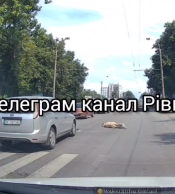 У Рівному автомобіль на швидкості збив людину