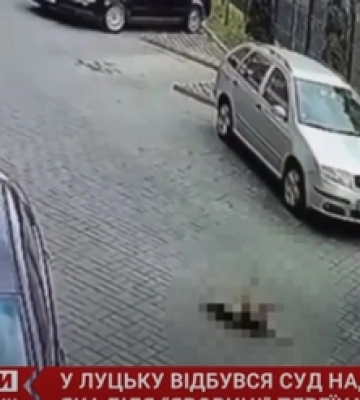 У Луцьку судять водійку, яка переїхала собаку біля «Яровиці» (відео)