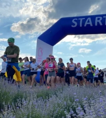 У Перечині відбудеться Lavanda Run 2023