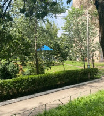 Відкрив стрілянину на вулиці в Києві: поліцейські затримали зловмисника