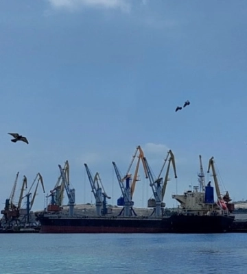 Порти Криму та тіньовий «зерновий коридор»: як Росія приховує перевезення зерна