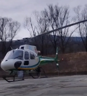 На Закарпатті прикордонна авіація допомагає виявиляти вирубки лісу