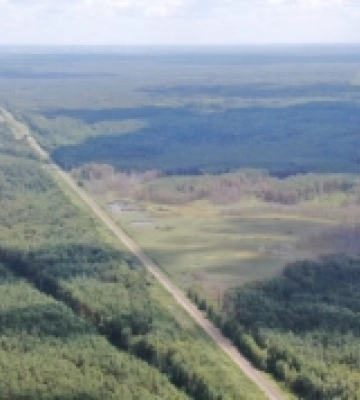 На Рівненщині лісові пожежі виявляють за допомогою дронів