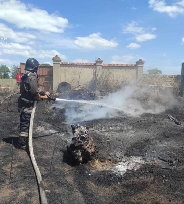 На Одещині палає суха рослинність
