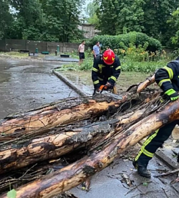 У Кривому Розі дерево впало і перекрило в`їзд до лікарні