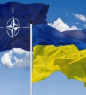 Экс-генералы стран НАТО призвали открыть Украине путь к членству в Альянсе