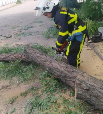 Рятувальники Кіровоградщини прибрали повалені під час шквалу дерева 