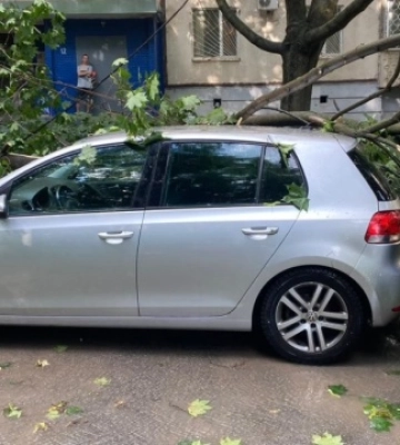 У Харкові під час зливи дерева попадали на автомобілі