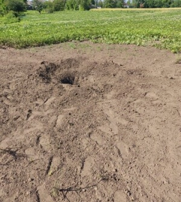 Примусової евакуації з Сумщини не буде — ОВА