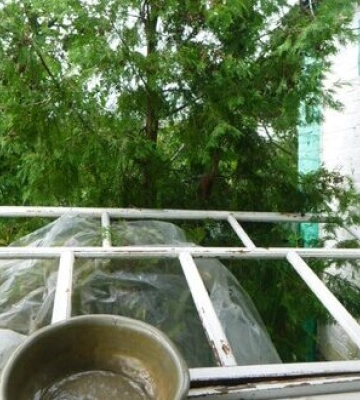 Вночі та вранці росіяни здійснили 8 обстрілів прикордоння Сумщини, зафіксовано 40 вибухів, - ОВА