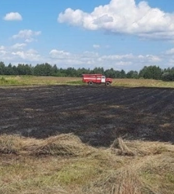 У Луцькому районі вигорів майже гектар поля 