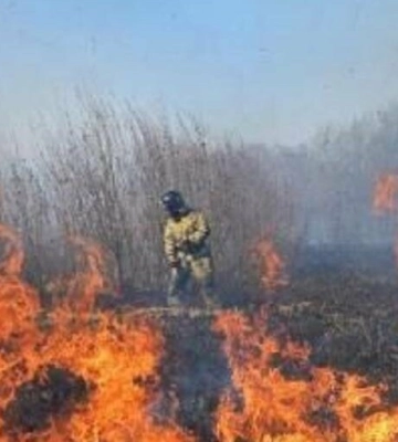 На Одещині рятувальники ліквідували загорання сухої трави та пшениці